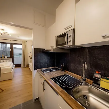 Come4stay - Spitalhof - Modern - Wlan - Kueche - Parkplatz - Smarttv Mit By Interhome *