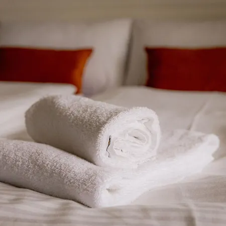 Come4stay - Spitalhof - Modern - Wlan - Kueche - Parkplatz - Smarttv Mit By Interhome Apartment Passau