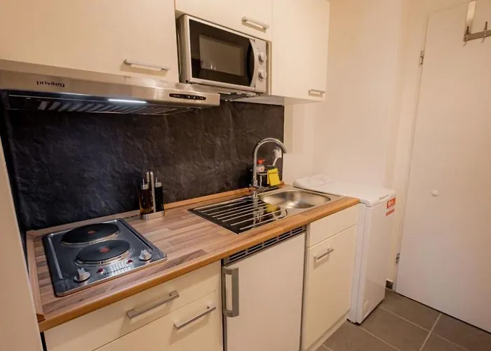 Come4stay - Spitalhof - Modern - Wlan - Kueche - Parkplatz - Smarttv Mit By Interhome * Passau