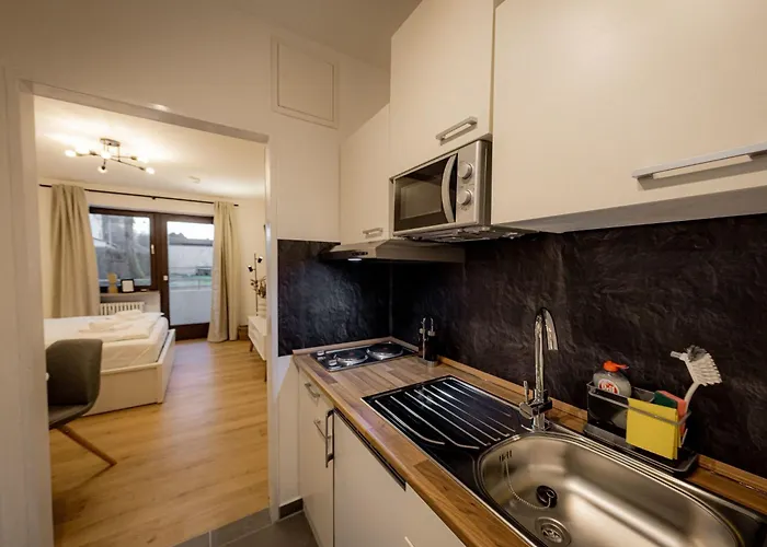 Come4stay - Spitalhof - Modern - Wlan - Kueche - Parkplatz - Smarttv Mit By Interhome *