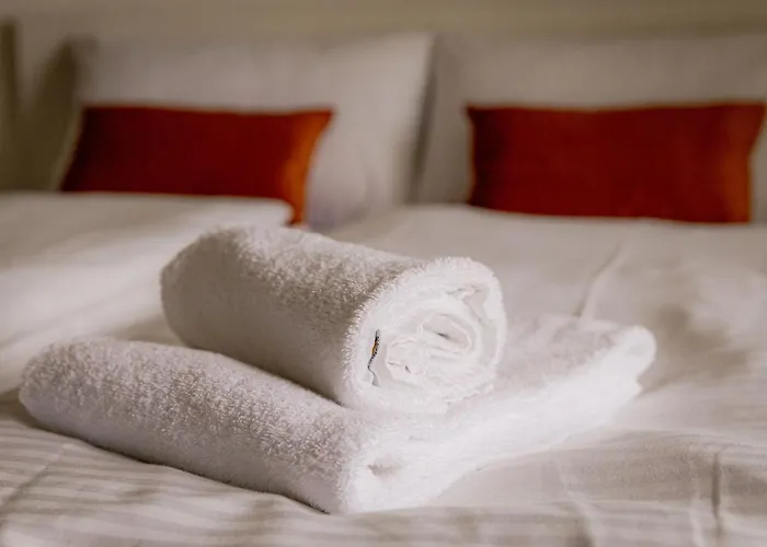 Come4stay - Spitalhof - Modern - Wlan - Kueche - Parkplatz - Smarttv Mit By Interhome Apartment Passau